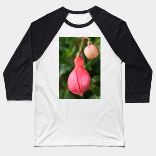 Fuchsia  &#39;Ringwood Market&#39;  Flower buds Baseball T-Shirt